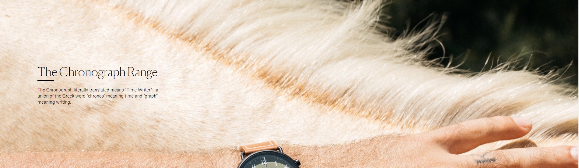 THE HORSE時計のThe Chronographシリーズ